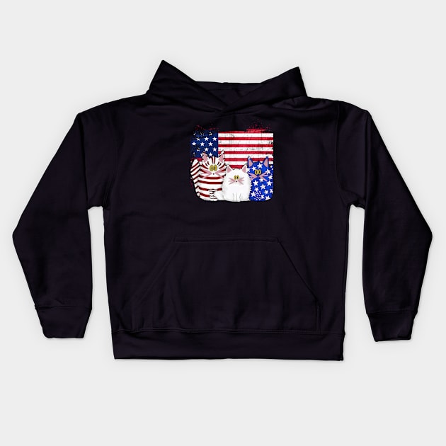 Red White Blue Cats USA Flag Firework 4th Of July Shirt Kids Hoodie by webster